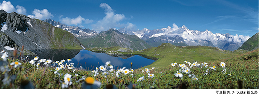 スイスの名花を愛でる夏旅へ